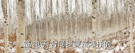 簽 電子 合同步驟是怎樣的
