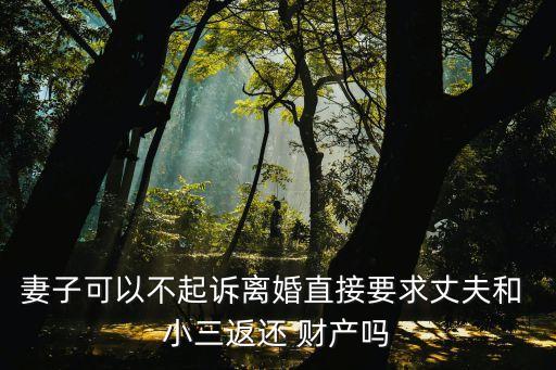 民法典小三歸還財(cái)產(chǎn),贈(zèng)與小三財(cái)產(chǎn)案例民法典