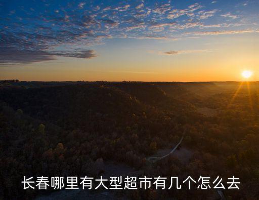  長(zhǎng)春哪里有大型超市有幾個(gè)怎么去