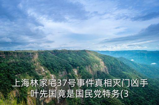  上海林家宅37號(hào)事件真相滅門兇手葉先國(guó)竟是國(guó)民黨特務(wù)(3