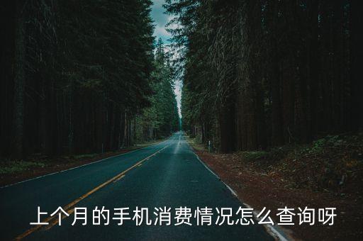 上個(gè)月