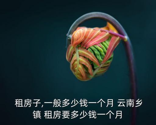 云南租房