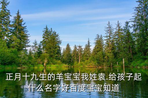 袁民