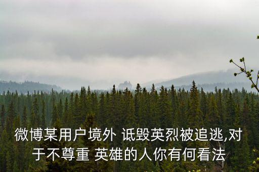 詆毀英雄,如何看待辣筆小球詆毀英雄