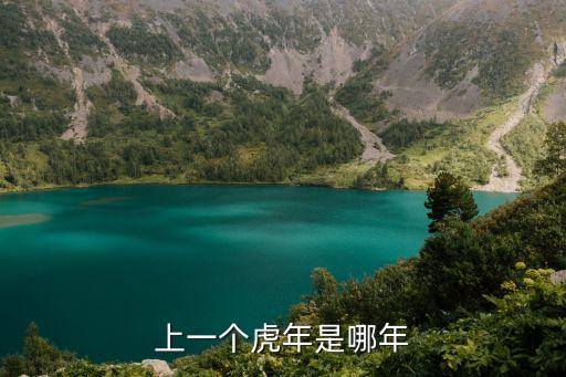 上一個虎年是哪年
