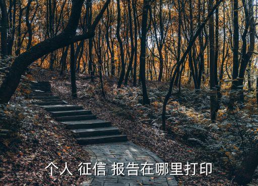 個人 征信 報告在哪里打印