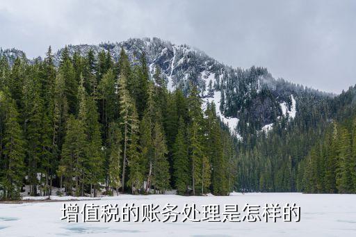增值稅會計處理規(guī)定
