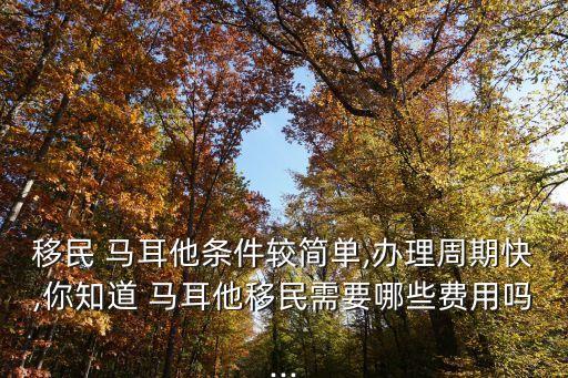 移民 馬耳他條件較簡單,辦理周期快,你知道 馬耳他移民需要哪些費用嗎...