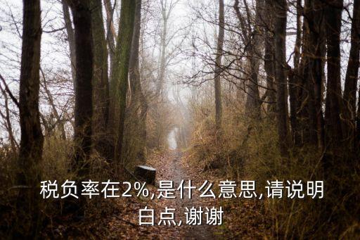  稅負率在2%,是什么意思,請說明白點,謝謝