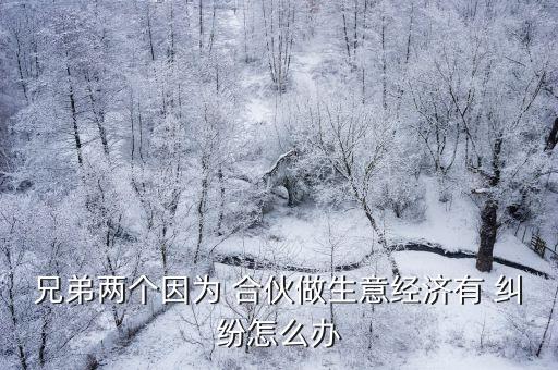 兄弟兩個(gè)因?yàn)?合伙做生意經(jīng)濟(jì)有 糾紛怎么辦