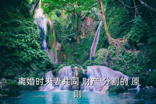  離婚時(shí)夫妻共同 財(cái)產(chǎn) 分割的 原則