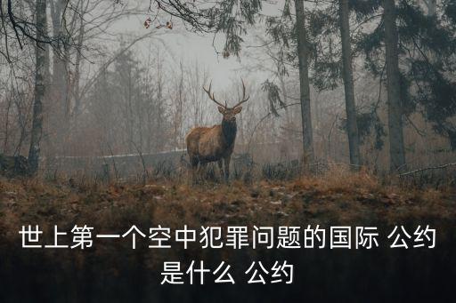 世上第一個(gè)空中犯罪問題的國際 公約是什么 公約