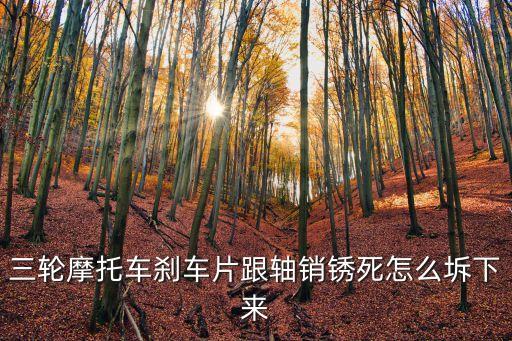 三輪摩托車剎車片跟軸銷銹死怎么坼下來(lái)