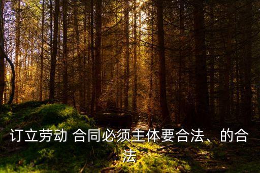 訂合同的法律問題有哪些,電子商務(wù)中電子合同的法律問題