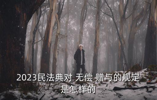 無(wú)償贈(zèng)與