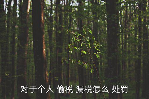 偷稅漏稅的處罰,企業(yè)注銷后查出偷稅漏稅的處罰