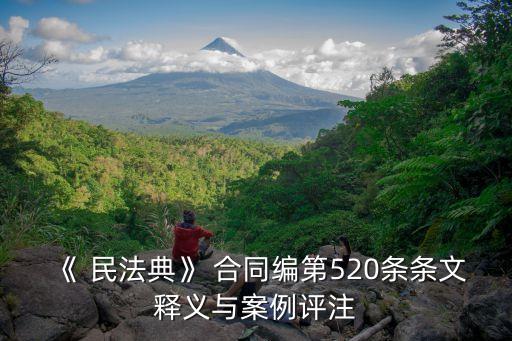 民法典合同編意見(jiàn)