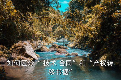 技術(shù)轉(zhuǎn)讓合同