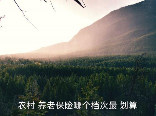 城鄉(xiāng)居民養(yǎng)老保險交多少錢劃算,2023城鄉(xiāng)居民養(yǎng)老保險交多少錢劃算