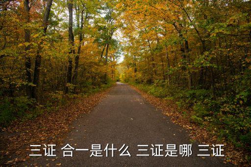  三證 合一是什么 三證是哪 三證