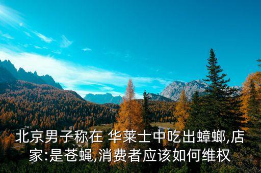 北京男子稱在 華萊士中吃出蟑螂,店家:是蒼蠅,消費(fèi)者應(yīng)該如何維權(quán)