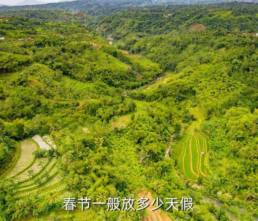 新年放假安排,證券公司新年放假安排