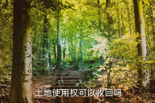  土地使用權(quán)可以收回嗎