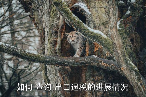 如何 查詢(xún) 出口退稅的進(jìn)展情況
