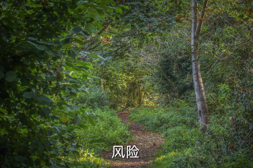 法律風險