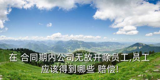 在 合同期內公司無故開除員工,員工應該得到哪些 賠償!