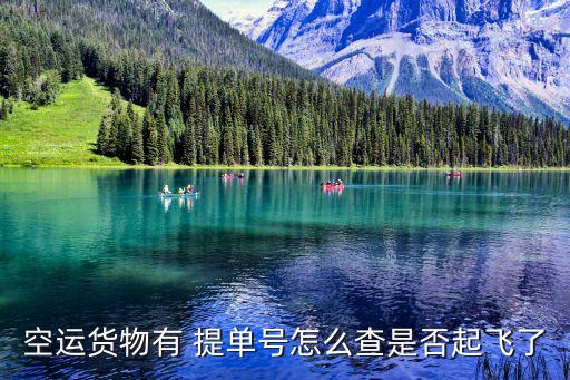 空運(yùn)貨物有 提單號怎么查是否起飛了