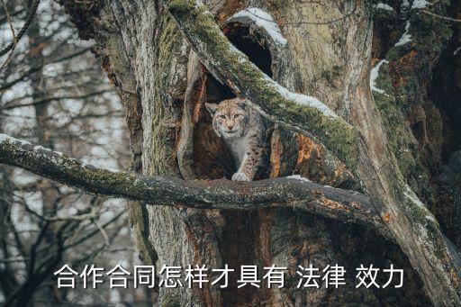 合伙協(xié)議怎樣有法律效力,合伙開店合伙協(xié)議有法律效力嗎