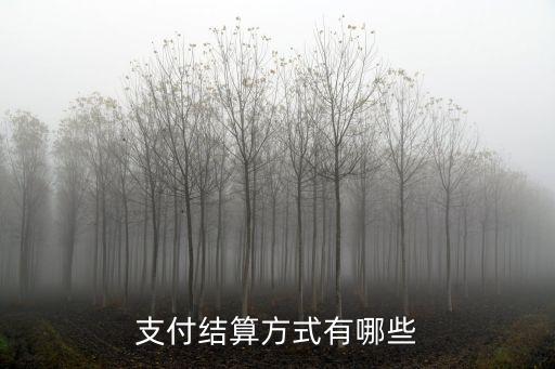 見票即付