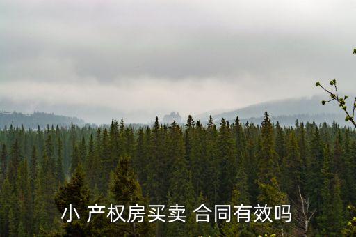 小 產(chǎn)權房買賣 合同有效嗎