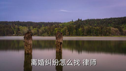  離婚糾紛怎么找 律師