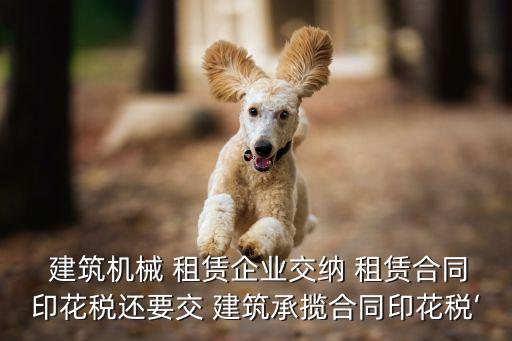  建筑機(jī)械 租賃企業(yè)交納 租賃合同印花稅還要交 建筑承攬合同印花稅‘