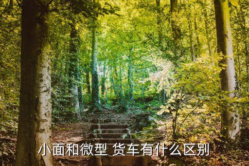 小面和微型 貨車有什么區(qū)別