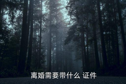 離婚要帶哪些證件,手機申請離婚平臺是什么