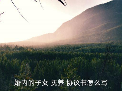 孩子撫養(yǎng)權(quán)協(xié)議書(shū)怎么寫(xiě),非婚生子女放棄撫養(yǎng)權(quán)協(xié)議書(shū)