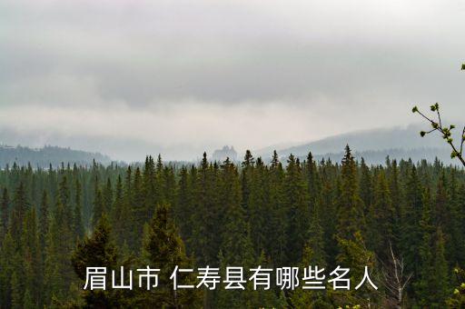 四川省仁壽縣