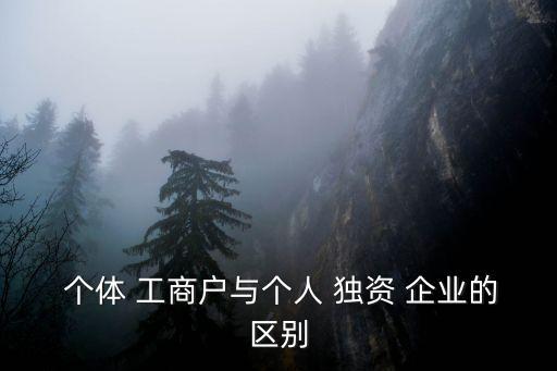  個(gè)體 工商戶與個(gè)人 獨(dú)資 企業(yè)的區(qū)別