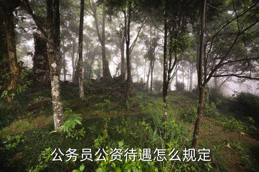公務(wù)員工資制度,工資幾級(jí)幾檔對(duì)照表