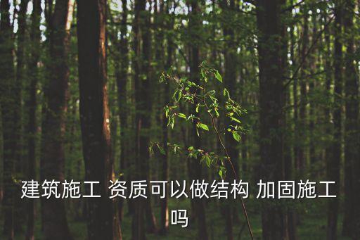 加固資質(zhì),建筑結(jié)構(gòu)加固資質(zhì)