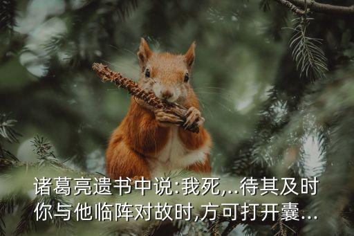諸葛亮遺書中說:我死,..待其及時你與他臨陣對故時,方可打開囊...