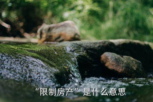 “限制房產(chǎn)”是什么意思