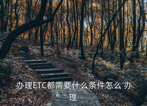 etc卡辦理,ETC卡辦理需要什么