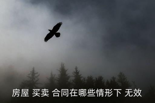 房屋 買賣 合同在哪些情形下 無效