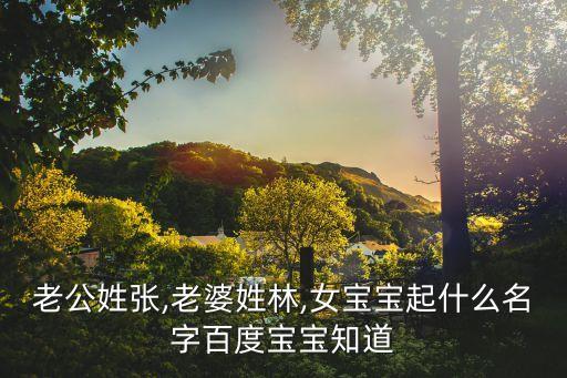 張林輝