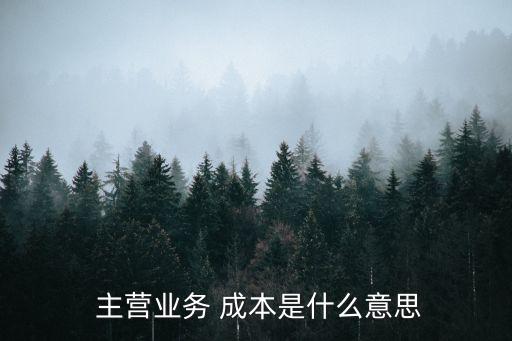 主營業(yè)務成本