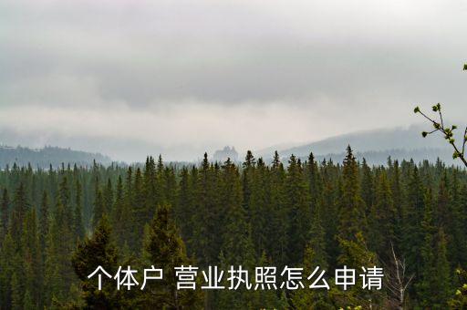  個(gè)體戶 營(yíng)業(yè)執(zhí)照怎么申請(qǐng)